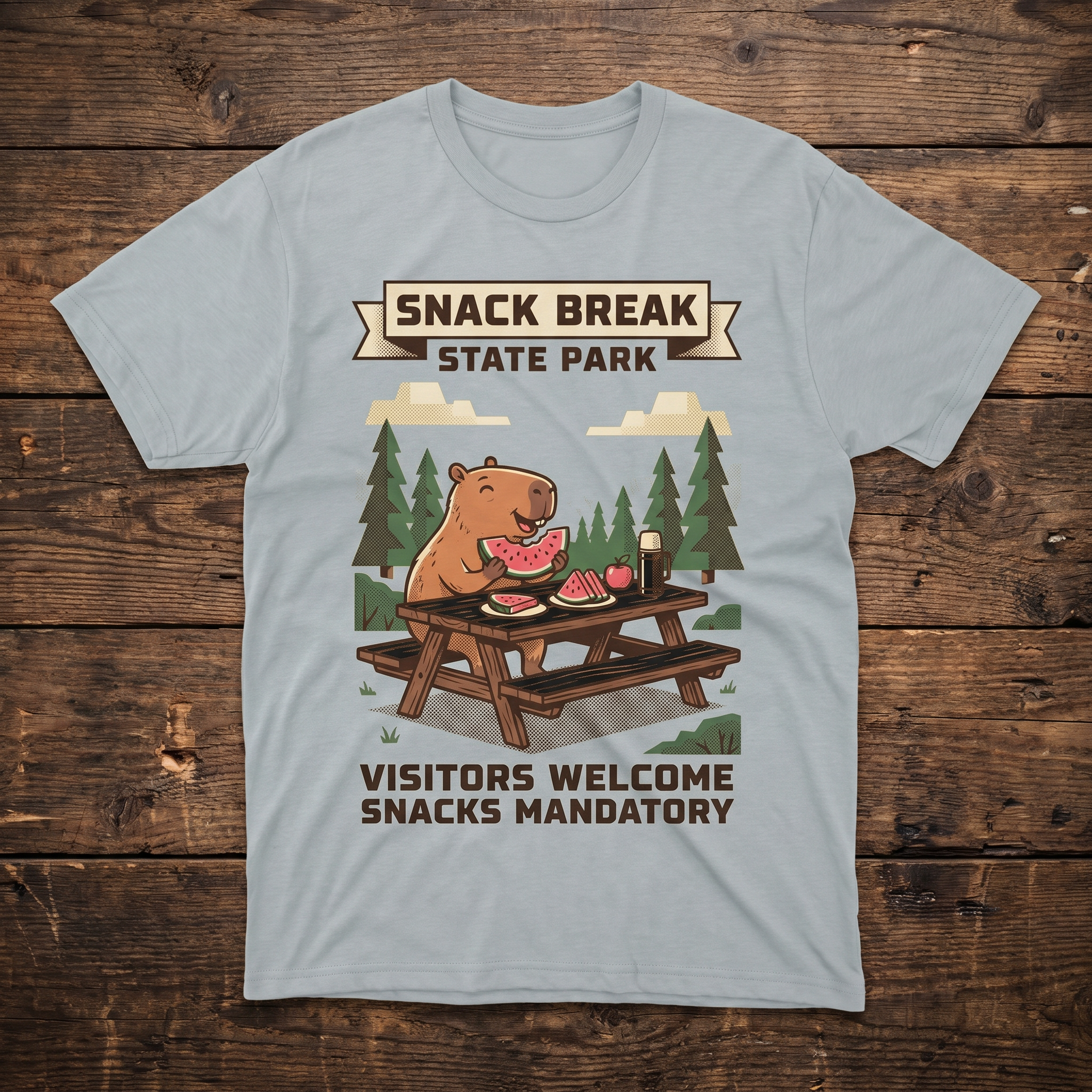 Ice Grey - Snack Break State Park Tee (wood plank background)