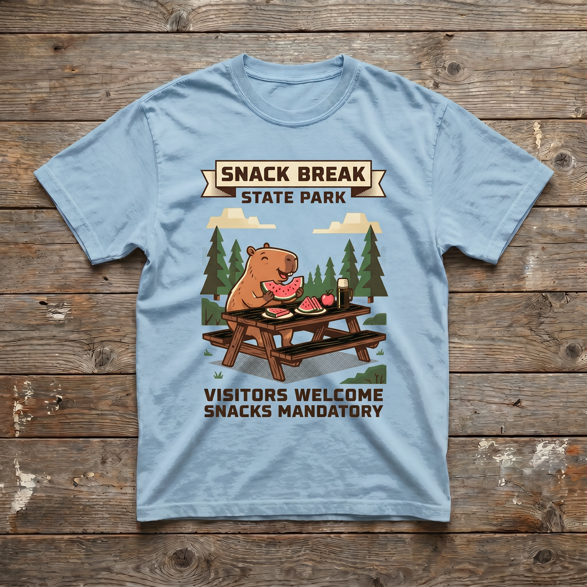 Light Blue - Snack Break State Park Tee (wood plank background)