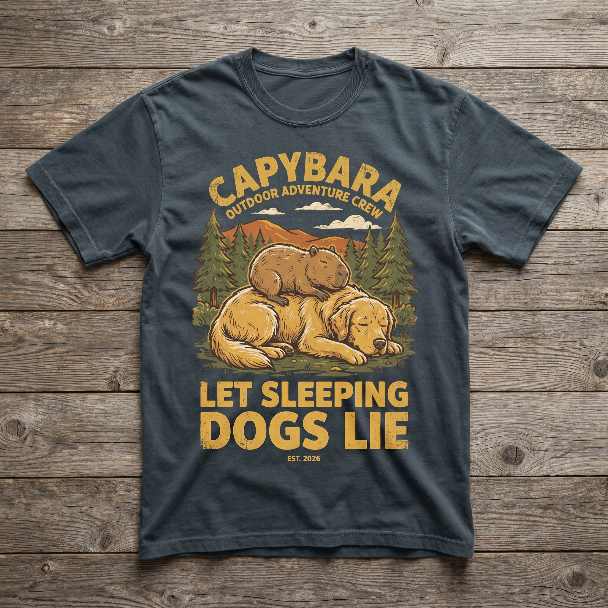Let Sleeping Dogs Lie Tee - Charcoal