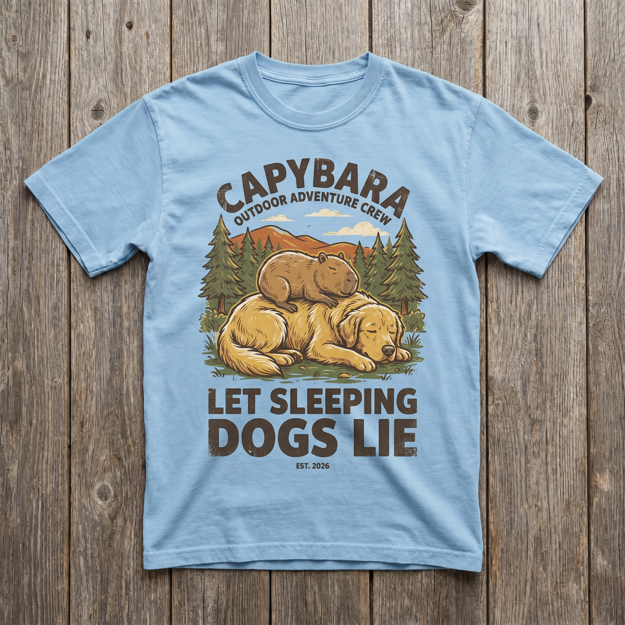 Let Sleeping Dogs Lie Tee - Light Blue