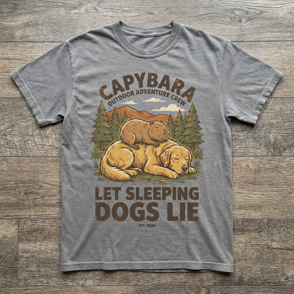 Let Sleeping Dogs Lie Tee - Sport Grey