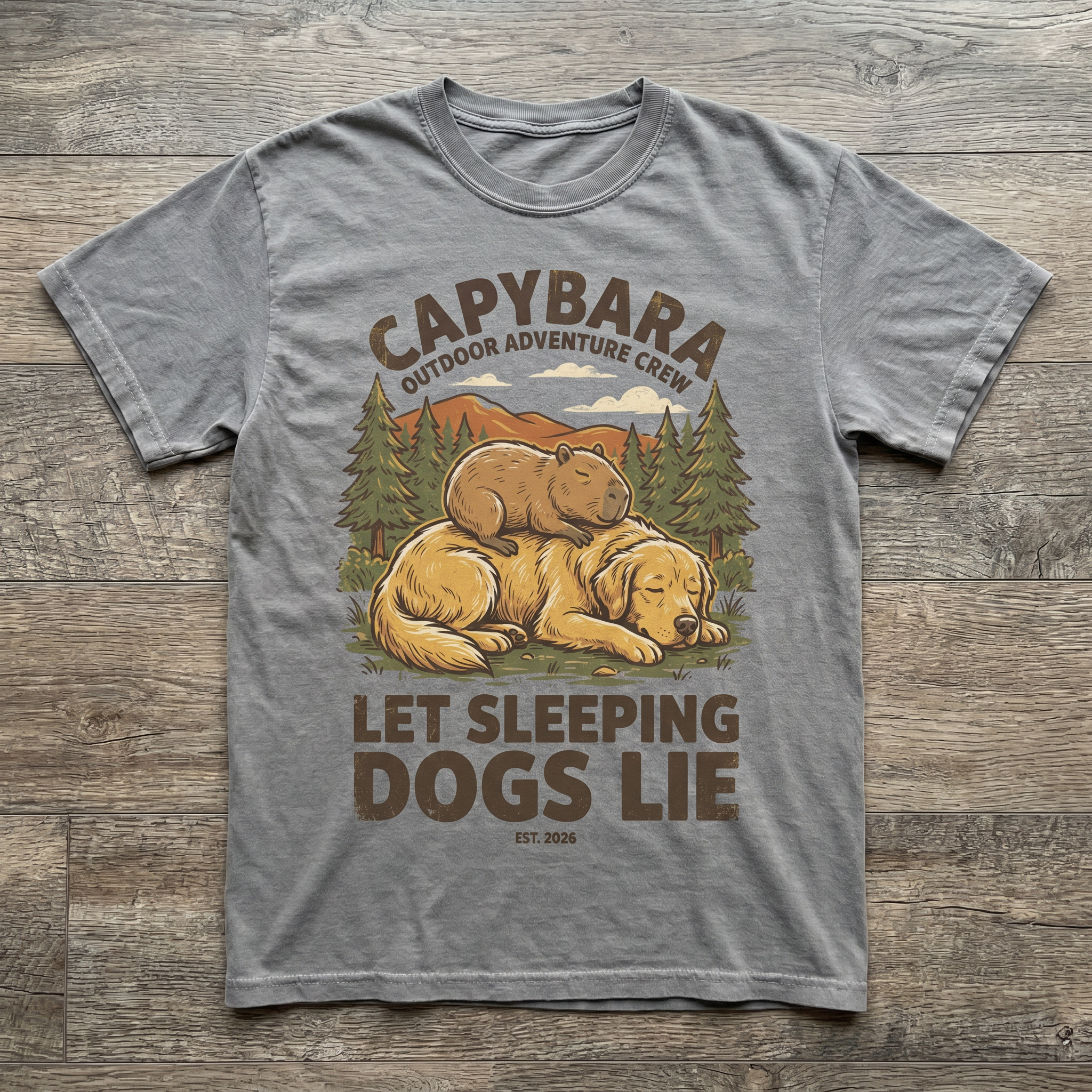 Let Sleeping Dogs Lie Tee - Sport Grey